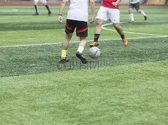 年全球女性,运动员收入,克拉克,太阳城,太阳城娱乐,太阳城app,太阳城赌场