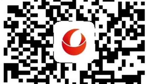 电竞战队新合，太阳城app，约签，新赛季备战开战